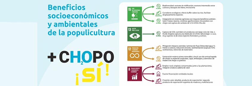 La plataforma '+CHOPO SÍ' organiza tres reuniones con afectados por la prohibición de la CHD de plantar chopos en su cuenca